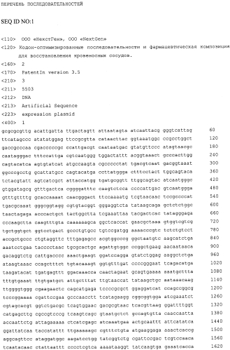 Кодон-оптимизированные последовательности и фармацевтическая композиция для восстановления кровеносных сосудов (патент 2557385)
