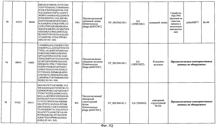Бактериофаг, обладающий активностью против pseudomonas aeruginosa, белки бактериофага и способы их применения (патент 2580248)