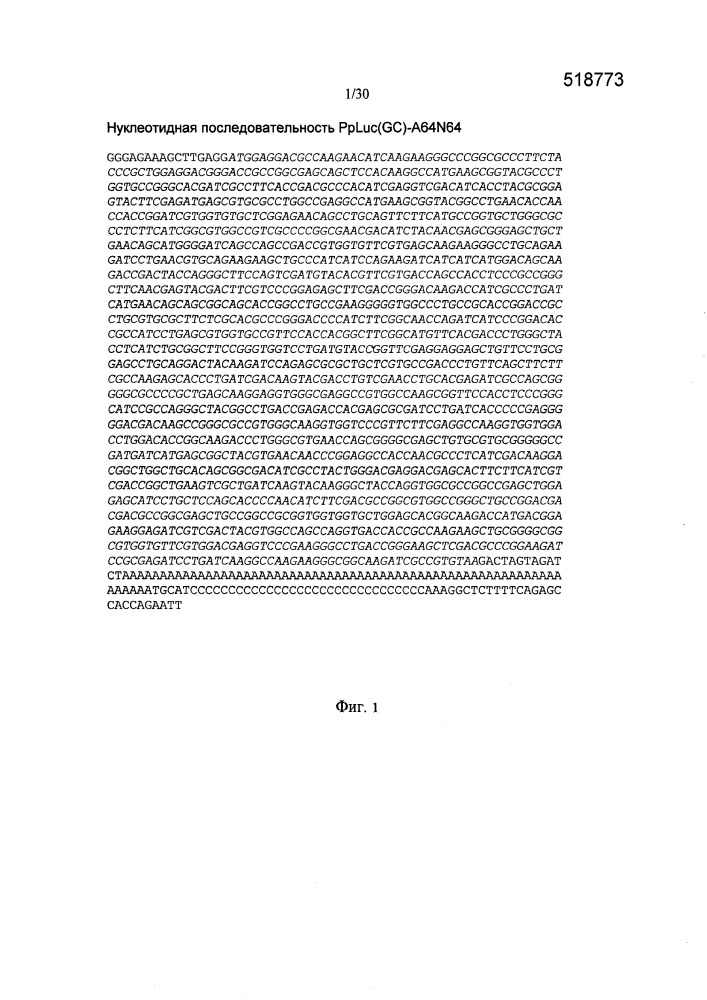 Молекулы искусственной нуклеиновой кислоты, содержащие 5'utr гена top (патент 2660565)