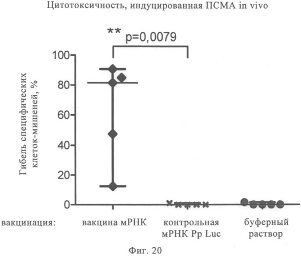 Композиция для лечения рака предстательной железы (рпж) (патент 2508125)