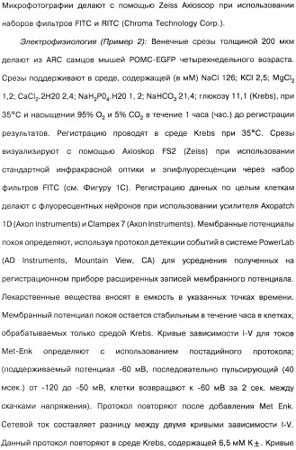 Способ модификации пищевого поведения и применение pyy или его агониста в качестве средства для модификации пищевого поведения (патент 2317104)