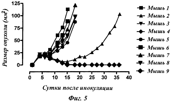 Нонапептид с противоопухолевой активностью (патент 2503685)