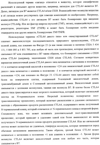 Способ лечения сердечно-сосудистого заболевания с применением растворимого ctla4 (патент 2353384)