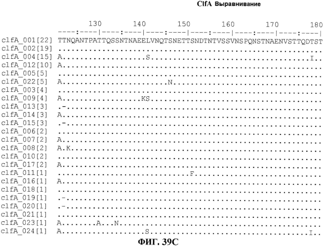 Стабильные иммуногенные композиции антигенов staphylococcus aureus (патент 2570730)