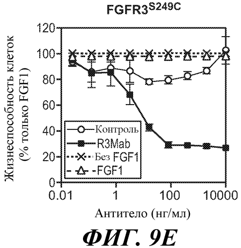 Антитела против fgfr3 и способы их применения (патент 2568066)