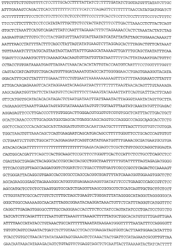 Применение s1p (патент 2362565)