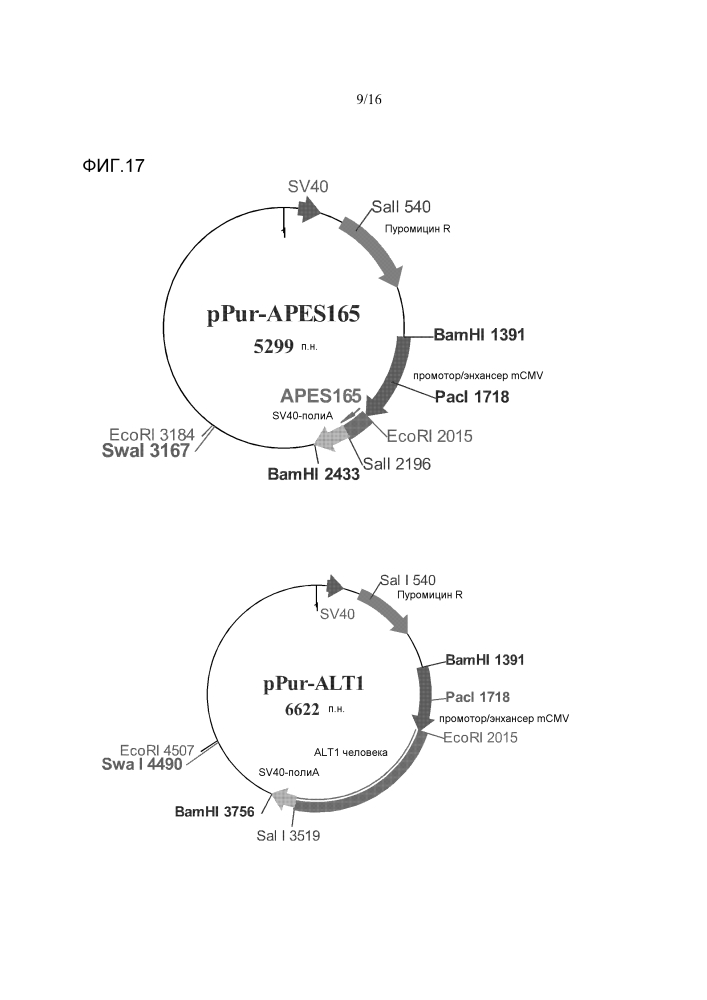 Способ получения рекомбинантного полипептида (патент 2628310)