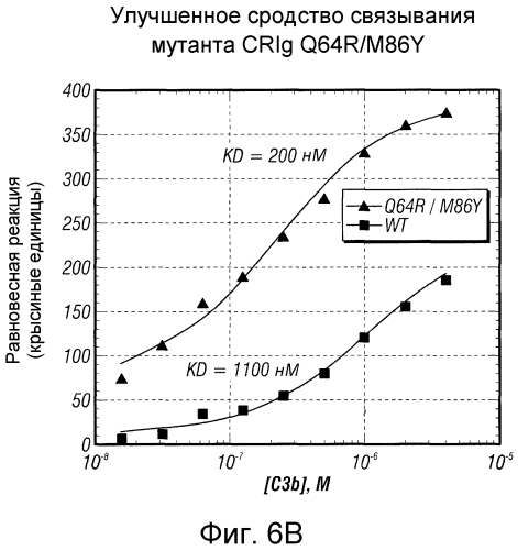 Варианты crig с созревшей аффинностью (патент 2553517)