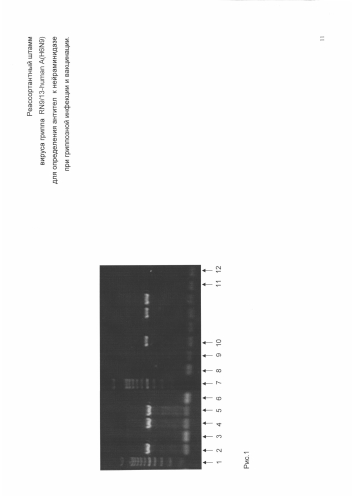 Реассортантный штамм вируса гриппа rn9/13-human a(h6n9) для определения антител к нейраминидазе при гриппозной инфекции и вакцинации (патент 2587629)