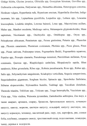 Растения с повышенной урожайностью и способ их получения (патент 2377306)