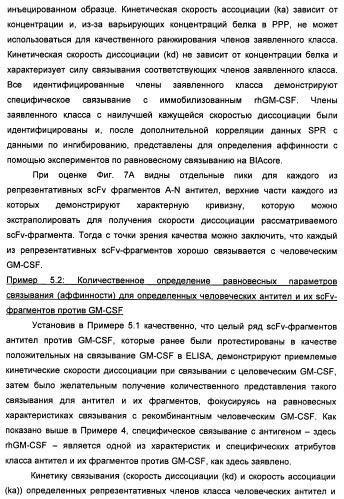 Антитела-нейтрализаторы гранулоцитарно-макрофагального колониестимулирующего фактора человека (патент 2458071)