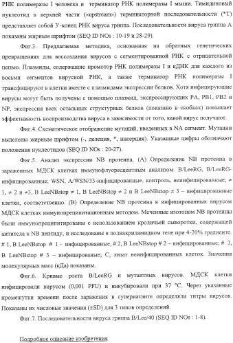 Выделенный рекомбинантный вирус гриппа и способы его получения (патент 2351651)