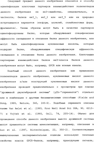 Ее3-семейство белков и соответствующие днк-последовательности (патент 2333918)