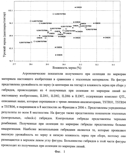 Растения кукурузы, отличающиеся локусам количественных признаков qtl (патент 2560599)