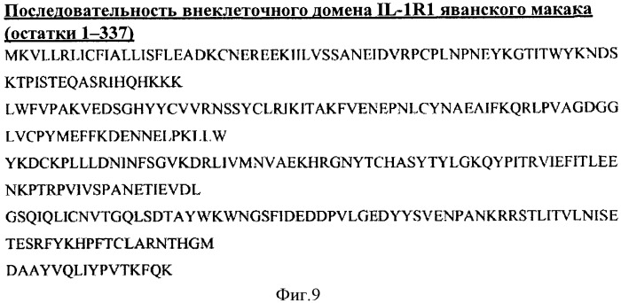 Члены связывания против il-1r1 (патент 2555532)