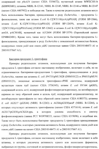 Способ получения l-треонина с использованием бактерии, принадлежащей к роду escherichia, в которой инактивирован ген yncd (патент 2396337)