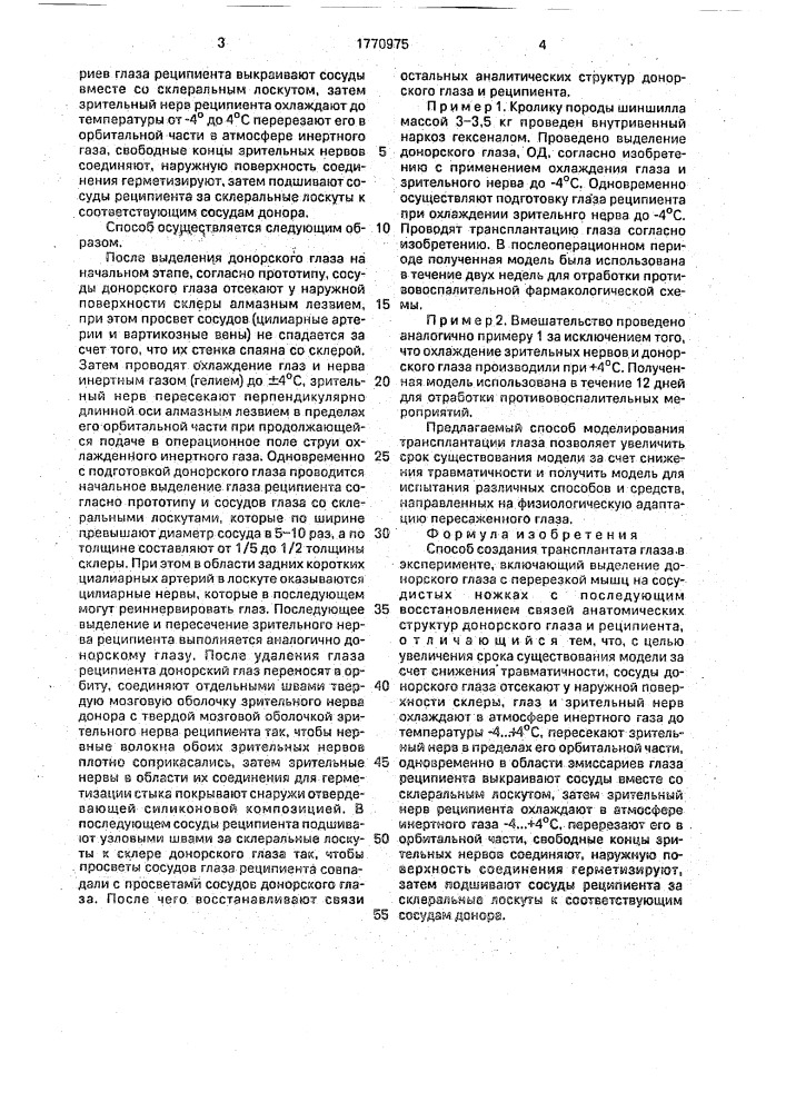 Способ создания модели трансплантации глаза в эксперименте (патент 1770975)