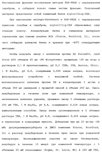 Новый лиганд рецептора цитокина zcytor17 (патент 2360923)