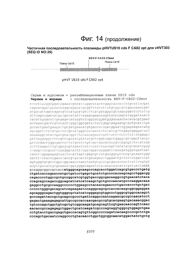 Рекомбинантные векторы hvt, экспрессирующие антигены патогенов птиц и их применение (патент 2620936)