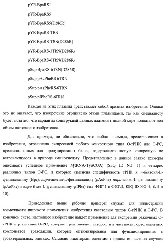 Система экспрессии компонентов ортогональной трансляции в эубактериальной клетке-хозяине (патент 2467069)