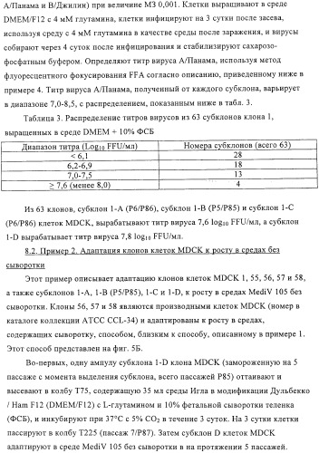 Линии клеток почки собаки майдин-дэрби (mdck), поддерживающие рост вирусов до высоких титров, и способ применения этих клеток в биореакторе (патент 2487935)