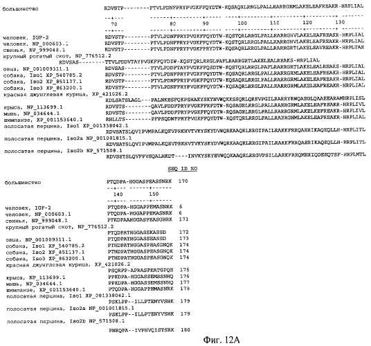 Стабилизированные полипептиды инсулиноподобного фактора роста (патент 2477287)