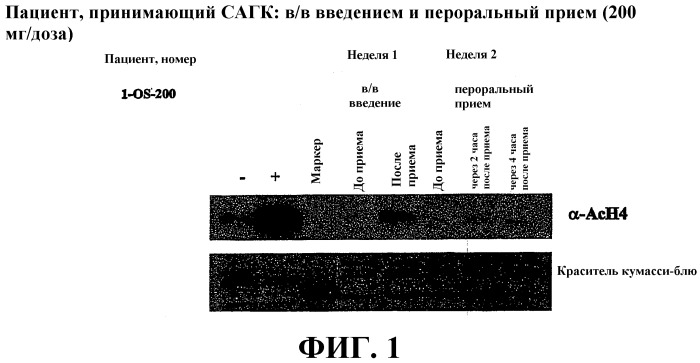 Способы индукции конечной дифференцировки (патент 2530648)