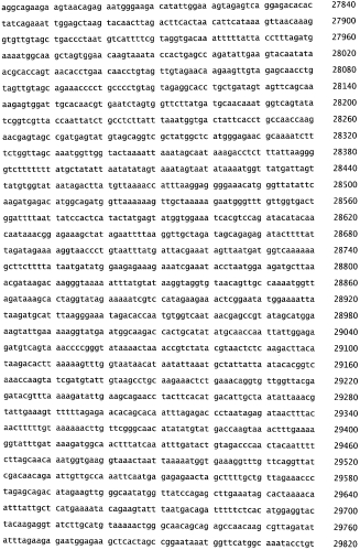 Бактериофаг, обладающий активностью против pseudomonas aeruginosa, белки бактериофага и способы их применения (патент 2580248)