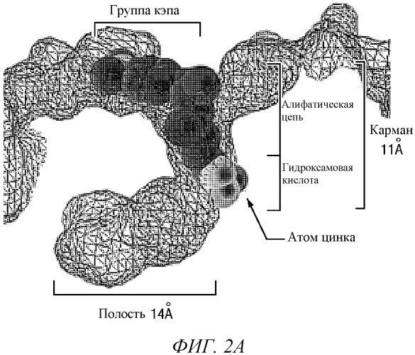 Макроциклические соединения, применимые в качестве ингибиторов гистондеацетилаз (патент 2565076)