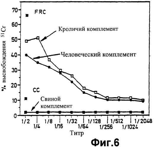 Способ получения трансгенного животного (патент 2252533)