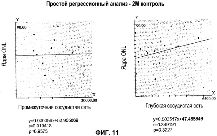 Популяция стволовых кроветворных клеток и ее применение (патент 2331669)