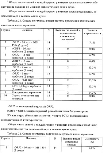 Поливалентные иммуногенные композиции pcv2 и способы получения таких композиций (патент 2488407)