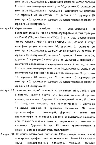 Очищенные оболочечные белки вируса гепатита с для диагностического и терапевтического применения (патент 2319505)