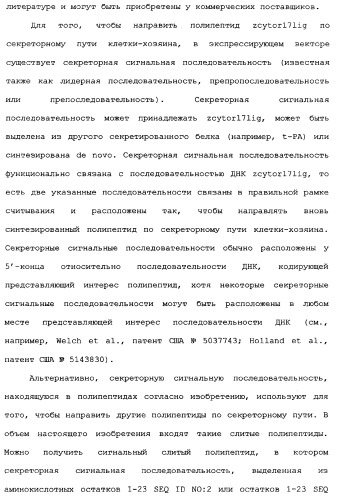 Новый лиганд рецептора цитокина zcytor17 (патент 2360923)