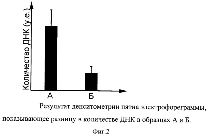 Способ экстракции днк из клеток крови (патент 2555551)