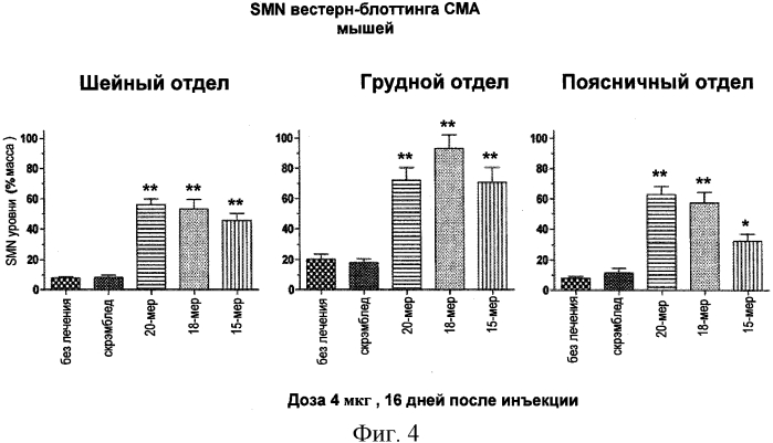 Композиции и способы модуляции smn2 сплайсинга у субъекта (патент 2566724)
