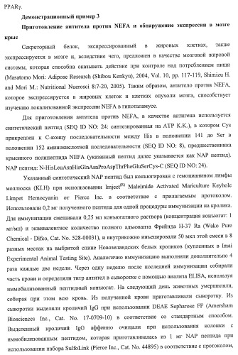 Способ получения фактора, связанного с контролем над потреблением пищи и/или массой тела, полипептид, обладающий активностью подавления потребления пищи и/или прибавления в весе, молекула нуклеиновой кислоты, кодирующая полипептид, способы и применение полипептида (патент 2418002)