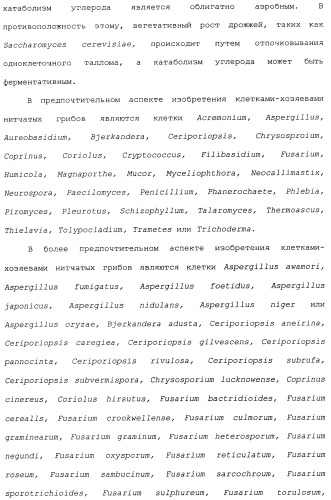Клетка-хозяин trichoderma reesei для получения целлюлолитической белковой композиции, целлюлолитическая белковая композиция, способы ее получения и применения (патент 2494146)