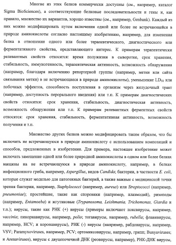 Система экспрессии компонентов ортогональной трансляции в эубактериальной клетке-хозяине (патент 2467069)