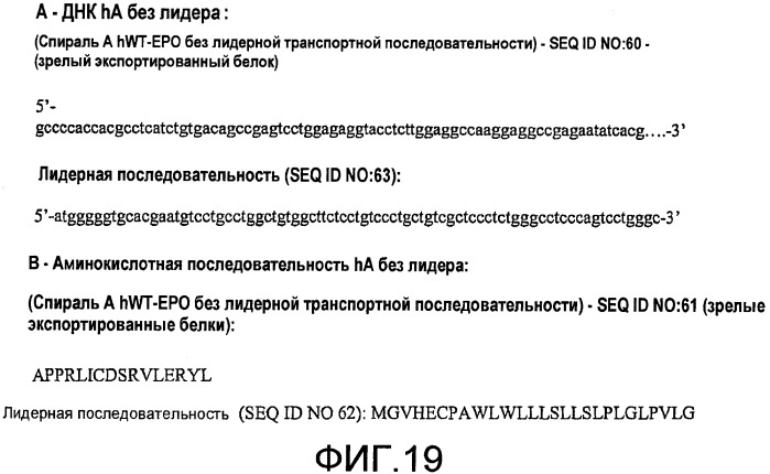 Варианты эритропоэтина (патент 2430162)