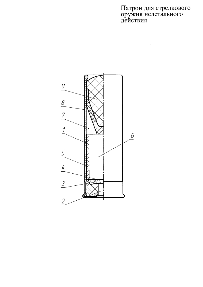 Патрон для стрелкового оружия нелетального действия (патент 2622421)