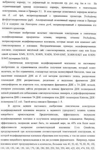 Модифицированная ксиланаза (патент 2394909)