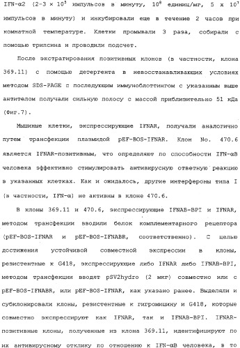 Белок ifnab-bpi, его предшественник, молекула днк, экспрессирующий вектор, способ продуцирования, фармацевтическая композиция для ингибирования активности ifn-  или ifn-  (патент 2336279)
