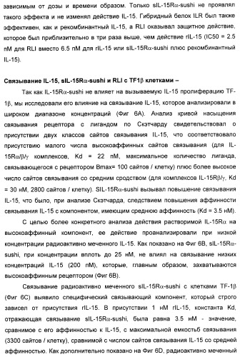 Соединение, предназначенное для стимуляции пути передачи сигнала через il-15rбета/гамма, с целью индуцировать и/или стимулировать активацию и/или пролиферацию il-15rбета/гамма-положительных клеток, таких как nk-и/или t-клетки, нуклеиновая кислота, кодирующая соединение, вектор экспрессии, клетка-хозяин, адъювант для иммунотерапевтической композиции, фармацевтическая композиция и лекарственное средство для лечения состояния или заболевания, при котором желательно повышение активности il-15, способ in vitro индукции и/или стимуляции пролиферации и/или активации il-15rбета/гамма-положительных клеток и способ получения in vitro активированных nk-и/или t-клеток (патент 2454463)