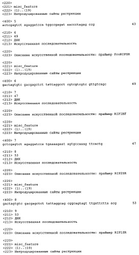 Растение и растительная клетка, трансформированные химерным геном (патент 2275426)