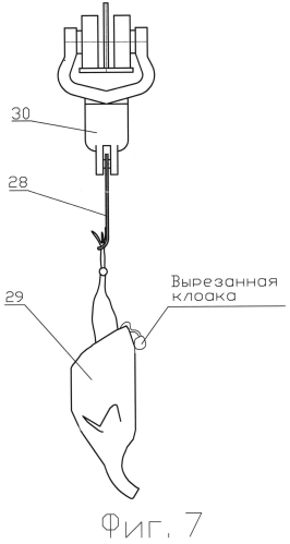 Устройство для вырезания клоаки тушек птицы (патент 2551104)