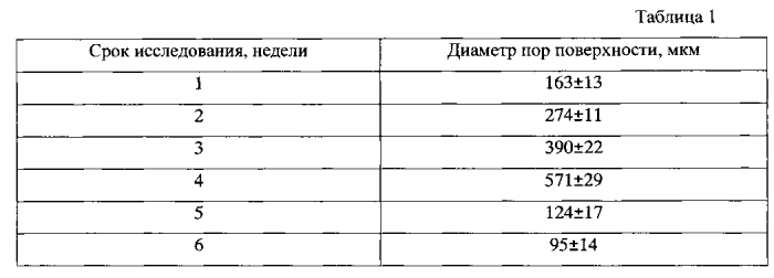 Способ дистантной стимуляции регенерации гепатоцитов (патент 2590859)