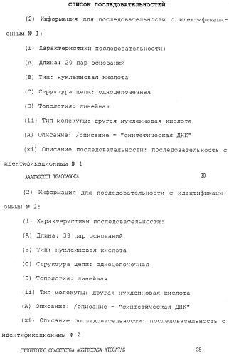 Антитела против белка, родственного паращитовидному гормону человека (патент 2322453)