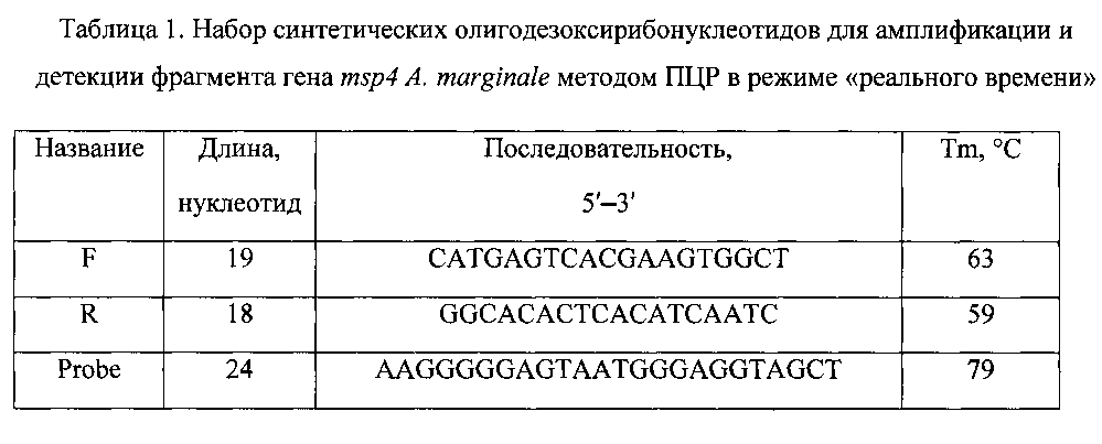 Набор синтетических олигодезоксирибонуклеотидов для детекции гена msp4 риккетсии anaplasma marginale методом полимеразной цепной реакции в режиме "реального времени" (патент 2595427)