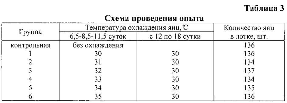 Температура в инкубаторе для перепелиных яиц